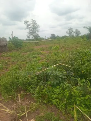 1.443 Acres of Land for Sale, at Per Plot, at Ijako, Ado- Odo Ota