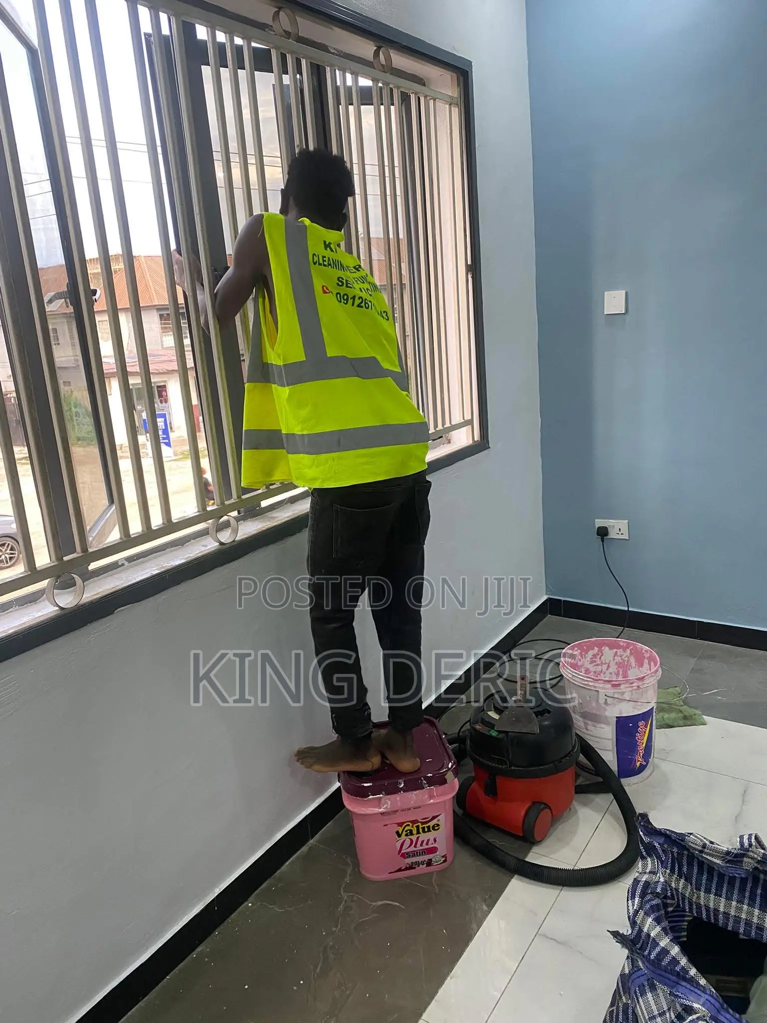 Professional Cleaning Services