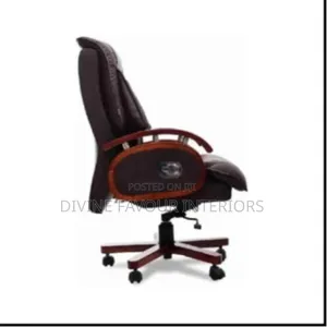 Executive Director Office Chair - Brown