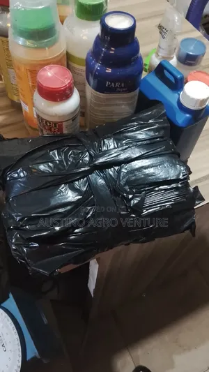 Nursing Polythene Bags