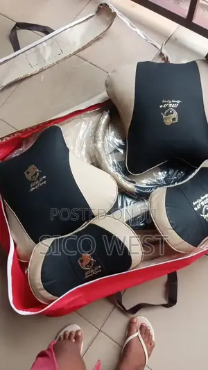 Car Seat Covers+023