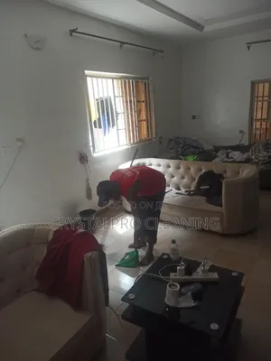 Expert Cleaning Service