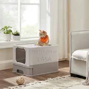 Cat Litter