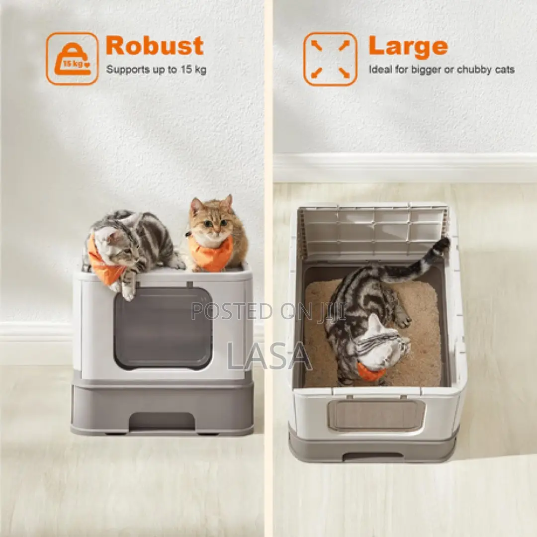 Cat Litter