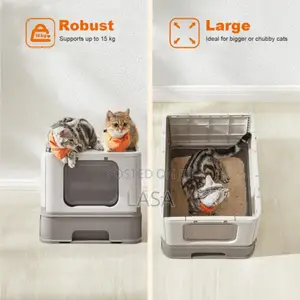 Cat Litter