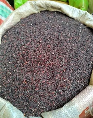 Tamba (Finger Millet)