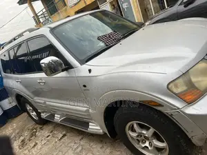 Mitsubishi Montero 2003 Gray