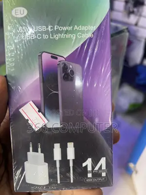 2 Pin Plug iPhone Charger