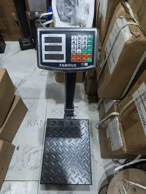 100kg Famous Scale