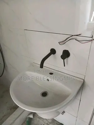 Proffesional Plumbing Painting and Site Supervision Services