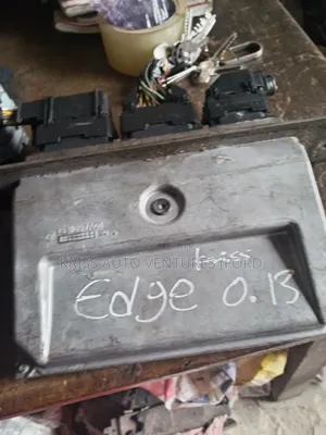 Ford Edge Brain Box