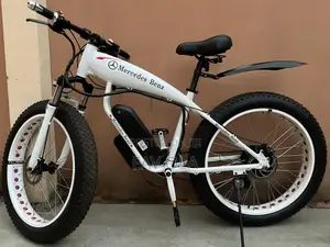 Luxury Mercedes-Benz Sport Bike <Electric/Manual Shark>