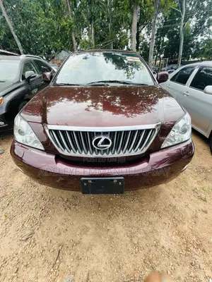 Lexus RX 2009 Brown
