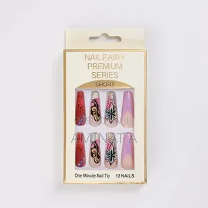 Nail Fairy Premium Series Diy Nails