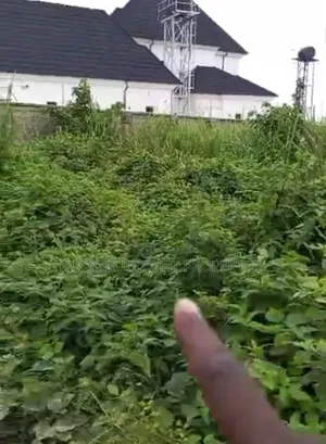 100 by 50 for Sale at Jeddo Close to Road