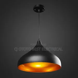Single Pendant Light , Black Body
