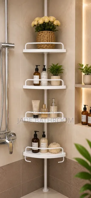 Toilet Rack