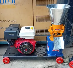 Portable Animal Feed Pelletizing Machine Heavy-Duty 13 Hp Petrol