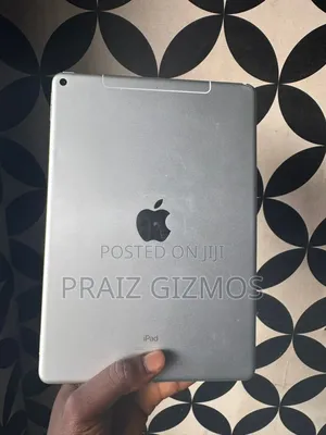 Apple iPad Air 256 GB Gray