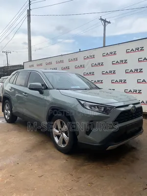 Toyota RAV4 XLE Premium AWD 2019 Gray