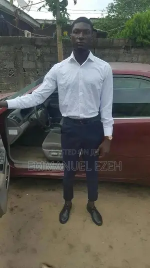 Professional Driver