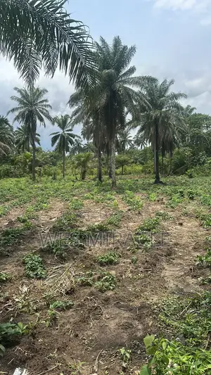 50x100 Plot of Land for Sale