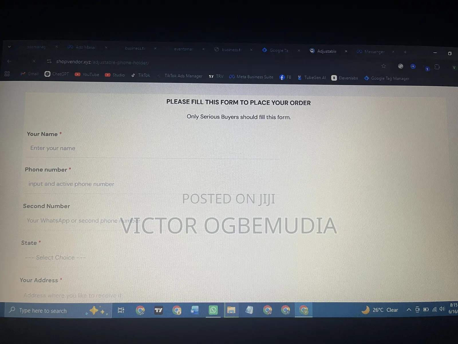Professional Website Design