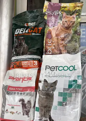 Cat Crunchy Dry Food 2kg/3kg/4kg Percool Delicat Bricopet Avantis