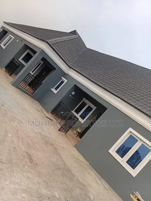 Professional Painting And Screeder