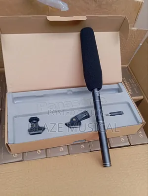Panasonic Condenser Microphone