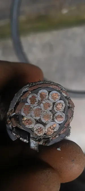 4mm 12core PVC Swa PVC Control Armoured Cable