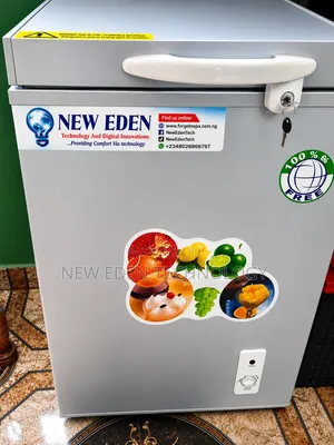 118 Liters Solar Freezer - Forgetnepa