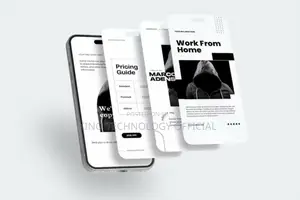 Professional Website Design E-Commerce Store Setup