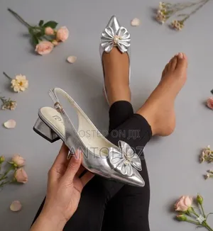 Luxury Shoe
