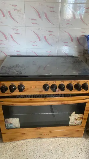 Fairly Used Nexus Gas Cooker