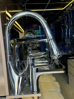 Luxury Kitchen Faucet With Pull Down/Pull Out Sprayer