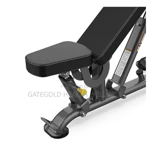 Sfi-100 Multi-Angle Ab Utility Bench
