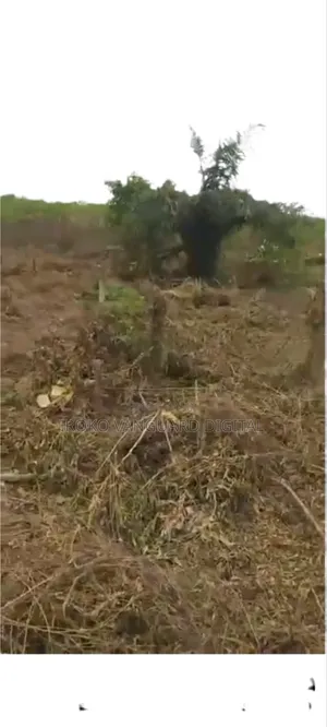 6 Plots of 100% Dry Land for Sale at Elerangbe, Ibeju Lekki