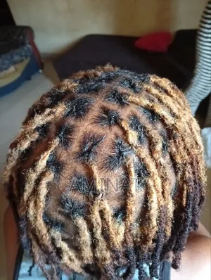 Certified Hair Stylist