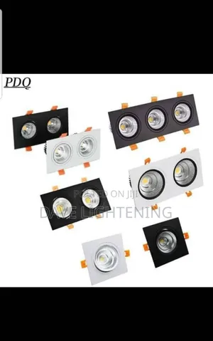 Double Recessed Spot Light