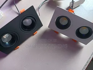 Double Recessed Cob Downlight