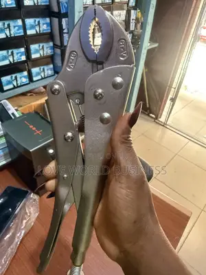 Gripping Pliers