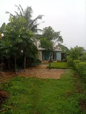 For Lease: Plots of Land, Eneka Road