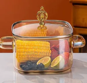Borosilicate Glass Pot