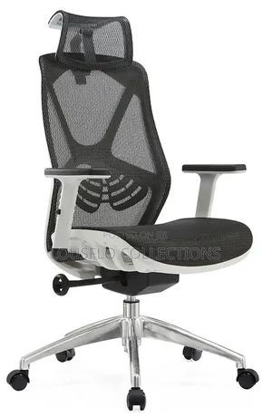 Your Quality Executive Mesh Chair With Adjustable Hand