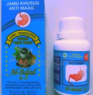 Effective Natural Gastric Ulcer Treatment Therapy