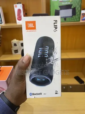 Black JBL Flip 6