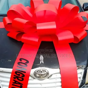 Lovely Giant Car Bow On Other.