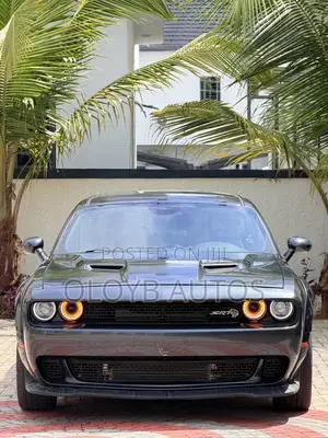Dodge Challenger SXT AWD 2019 Gray