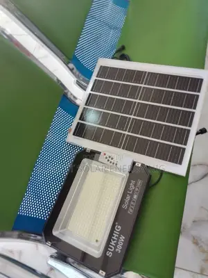 Sukhig Split-Type 300w Solar Street Light Separate Panel Wholesale